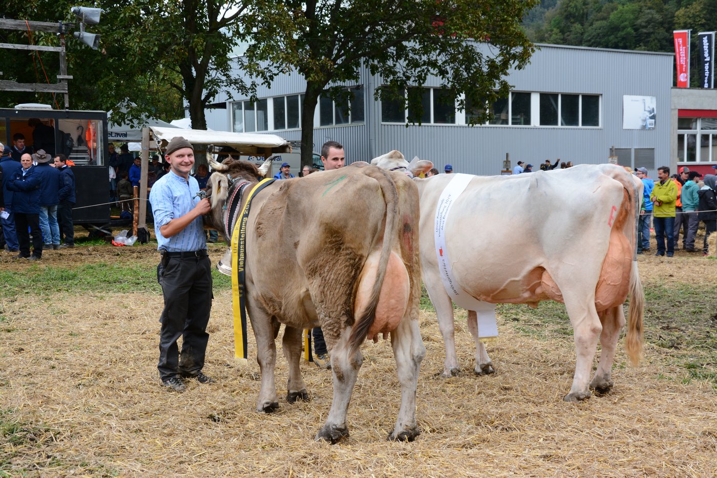 Die zwei Rassensiegerinnen, General Belinda von Gusti Zurfluh, Isenthal und Jongleur Evolet von Manuel Arnold, Erstfeld (rechts).