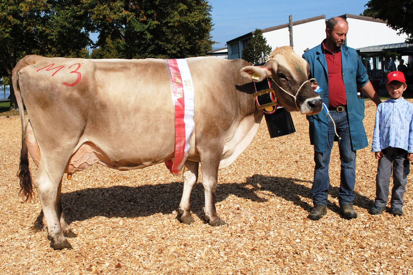 Die Miss March gewann ebenfalls bereits den dritten Titel: Payoff Prosa von Xaver und Beat Von Rickenbach, Lachen.