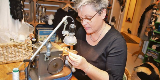 Mit der einfachen, aber bereits rund 70-jährigen Nähmaschine näht Benny Dalpiaz die einzelnen Fellstücke zusammen, ohne dass man danach die Nähnaht entdeckt.(Bilder Roland Müller)