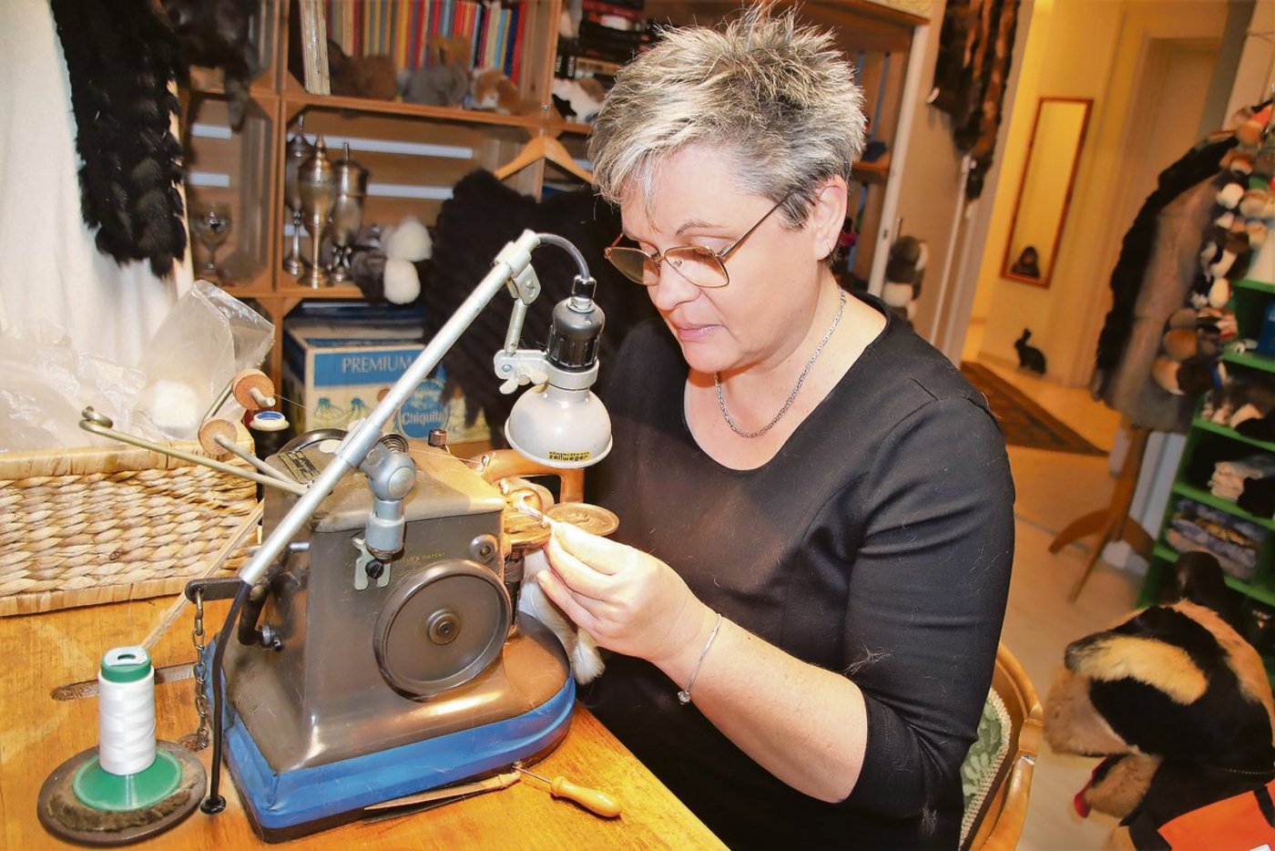 Mit der einfachen, aber bereits rund 70-jährigen Nähmaschine näht Benny Dalpiaz die einzelnen Fellstücke zusammen, ohne dass man danach die Nähnaht entdeckt.(Bilder Roland Müller)