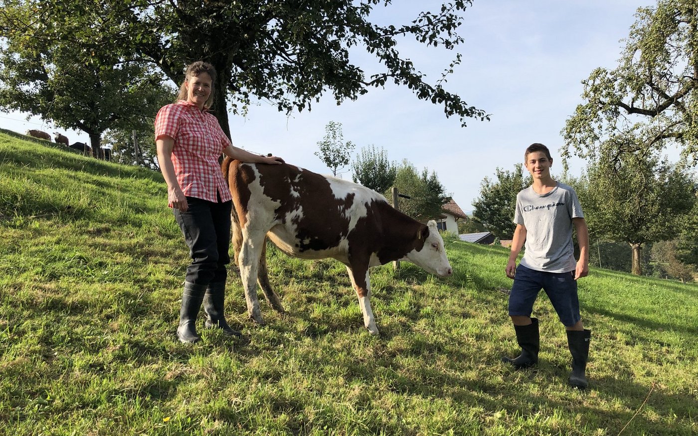 Weitere Tätigkeiten