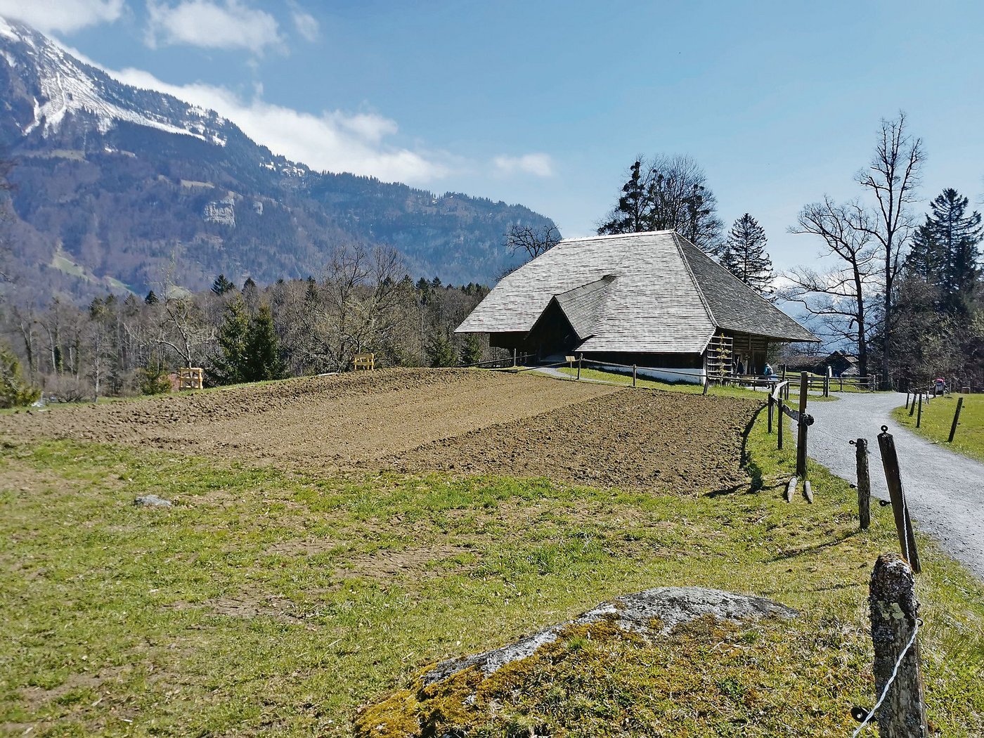 Der angelegte Acker ist bereit. Die Erde dafür muss zugeführt werden. Das Freilichtmuseum liegt auf einer Moräne. (Bild sb)