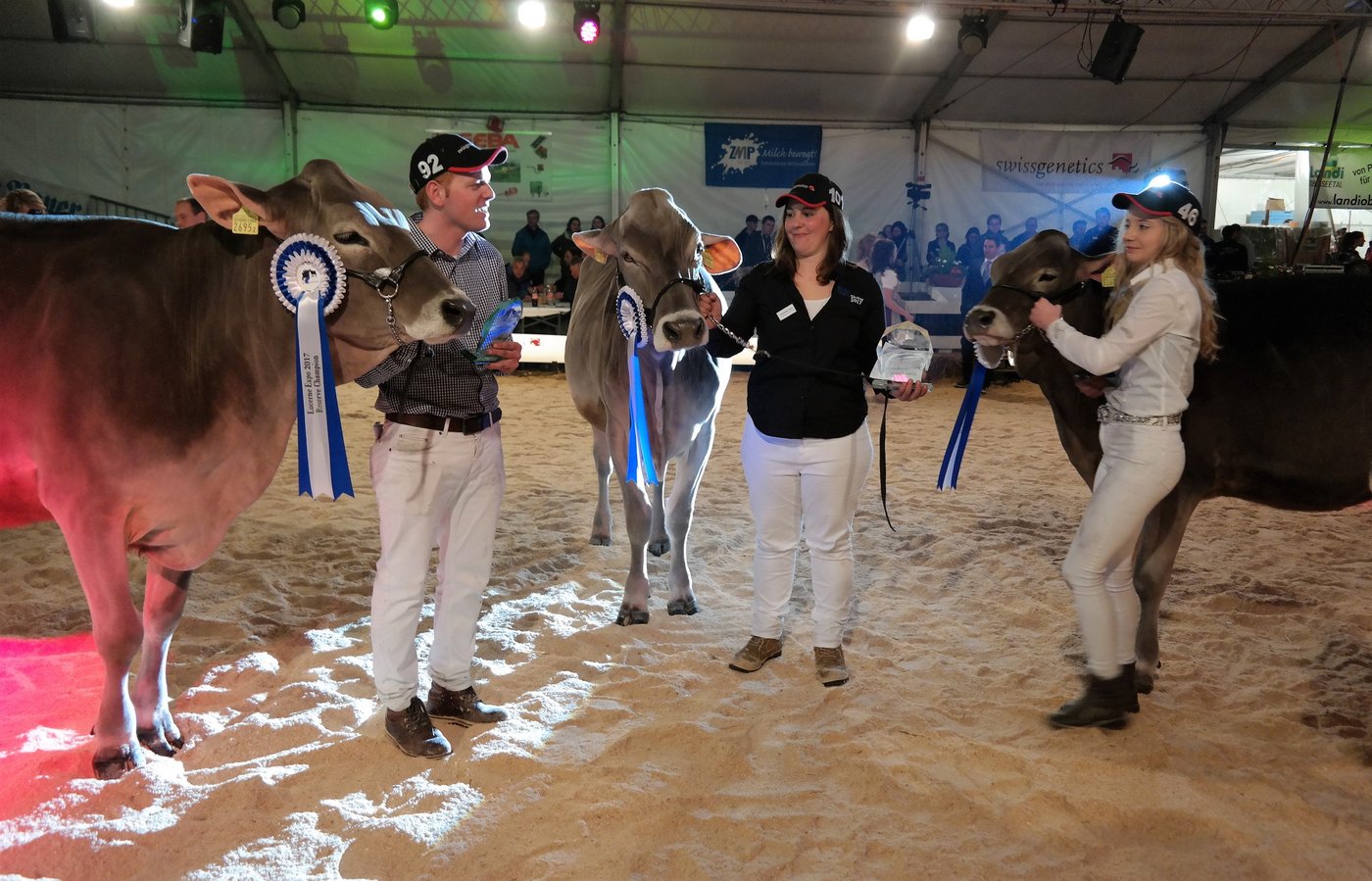 Siegergruppe BS: Mitte Franziska Duss, Escholzmatt, 1. Rang mit BS Fantastic Espania, links Josef Hofstetter, Entlebuch, 2. Rang mit Hofstetter’s Calvin Chelsea, rechts Pascal Felder 3. Rang mit Felder’s BS Bloming Bluna.