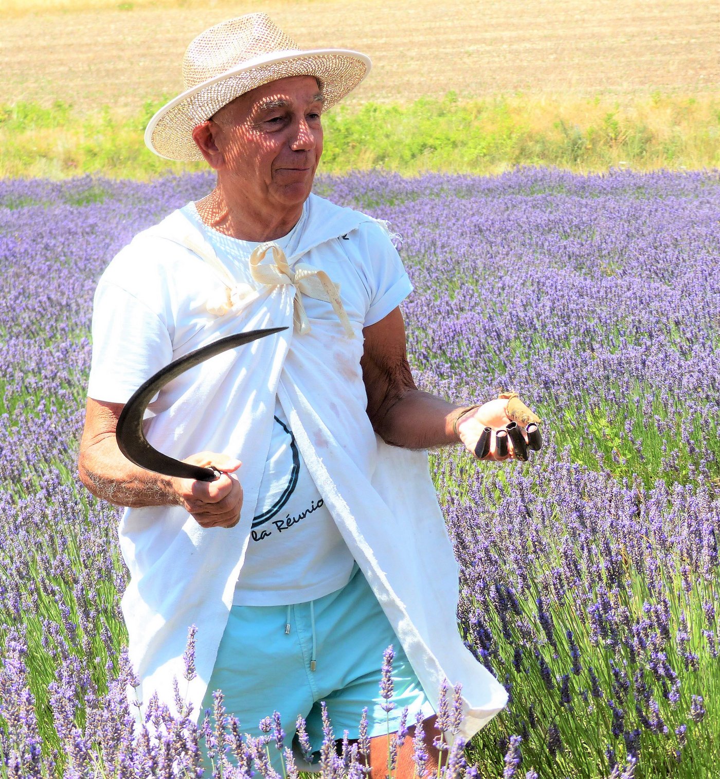 Die Teilnehmerinnen und Teilnehmer der Sommerkurse «Seed to Seal» lernen, wie man mit einer traditionellen Sichel Lavendel erntet. (Bild Petra Jacob)