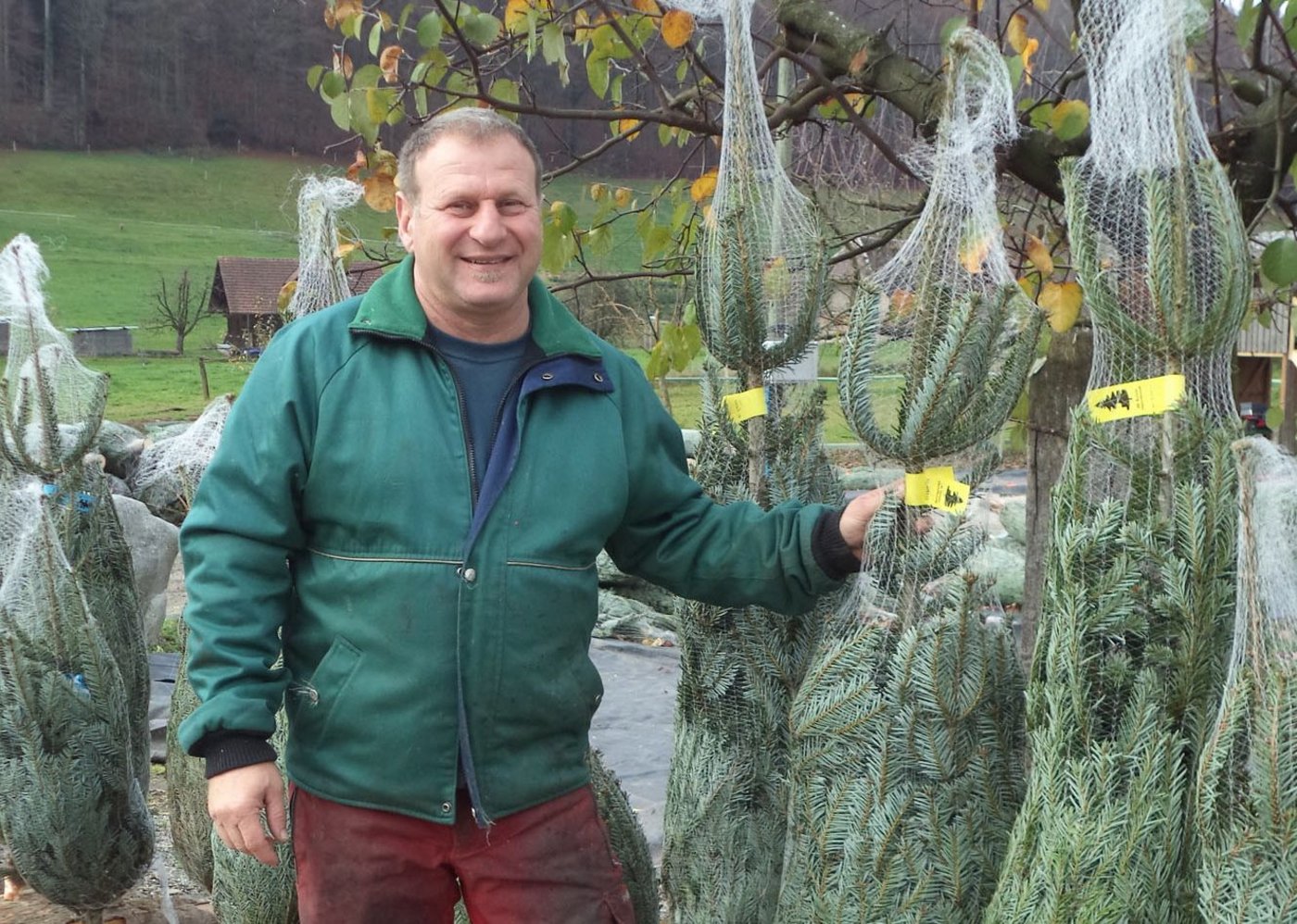 Hans-Peter Luder produziert eine Vielzahl von Baumsorten. Saisonhöhepunkt ist der Wiehnachtbaummärit. (Bilder le)