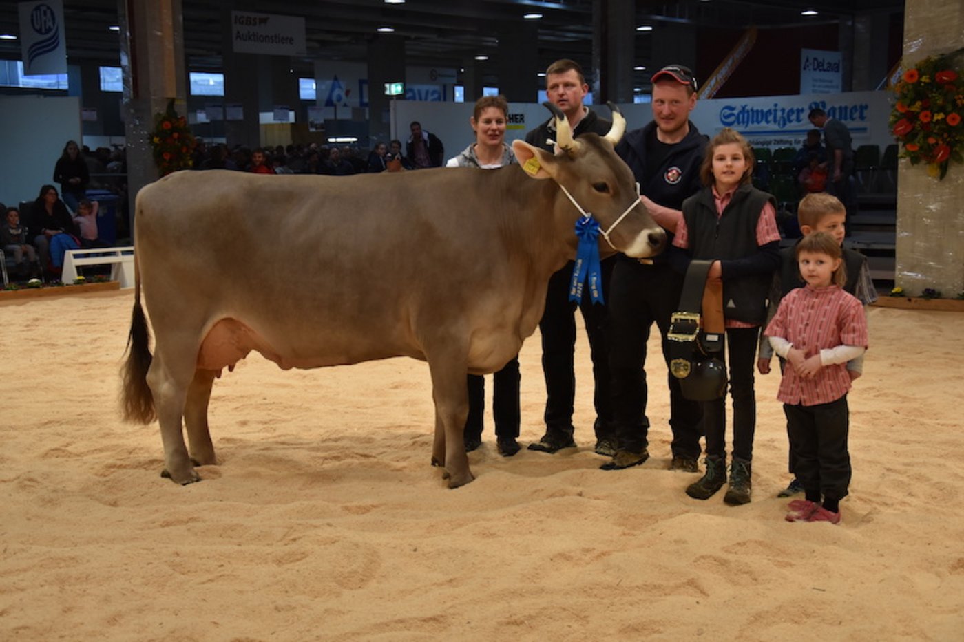 Die Vize-Miss und letztjährige Siegerin Eldor Elena von Familie Schrepfer aus Wald ZH. 