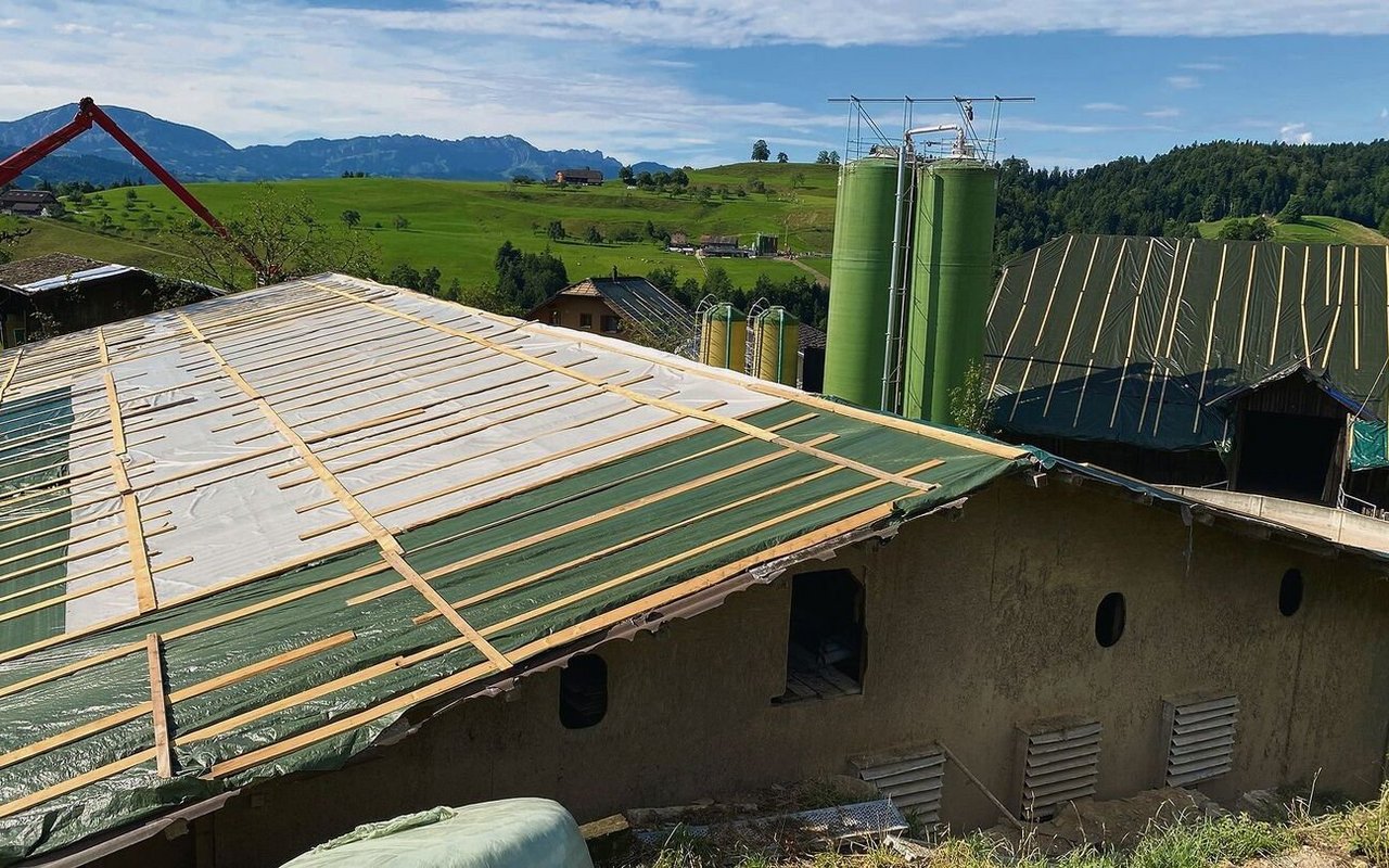 Viele Dächer von landwirtschaftlichen Gebäuden im Kanton Luzern waren oder sind noch immer nur notdürftig gedeckt. 