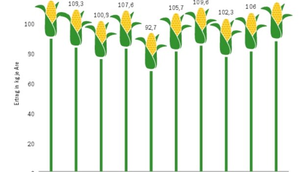 Die Erträge beim Körnermais liegen heuer noch deutlich über der guten Ernte von 2019. Die Spannweite der Erträge liegt 2020 zwischen 80 und 150 kg trockener Körnermais je Are.(Quelle Agristat und Umfrage BauZ/Grafik Bauz)