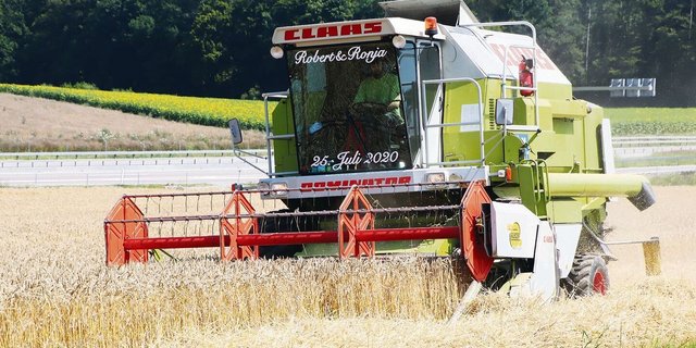Die global steigenden Brotgetreidepreise würden den Import für die Schweiz teurer machen. Das BLW hat aber den Zollansatz gesenkt, um die Differenz auszugleichen.