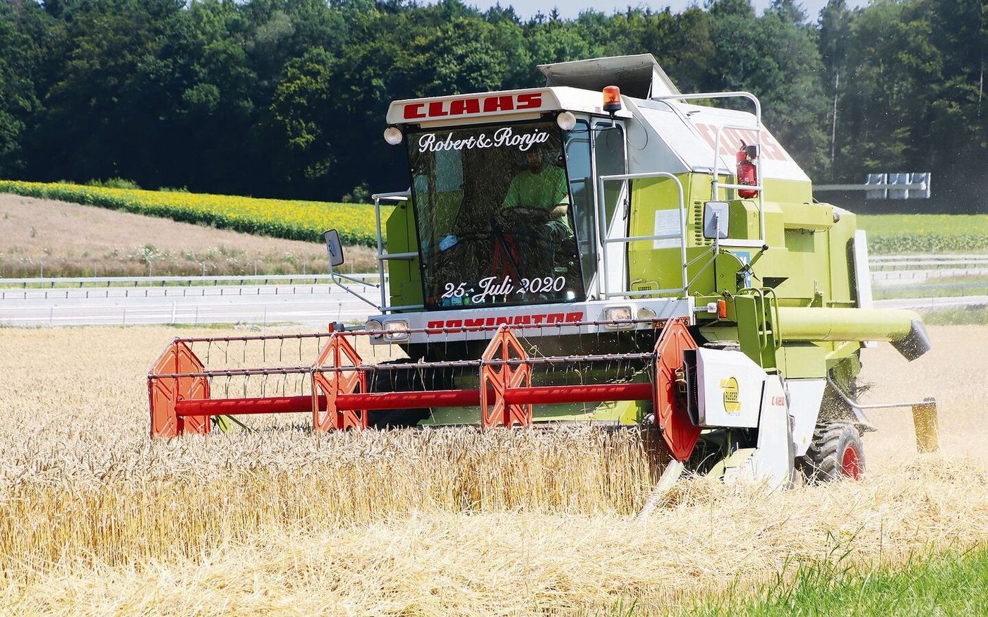 Die global steigenden Brotgetreidepreise würden den Import für die Schweiz teurer machen. Das BLW hat aber den Zollansatz gesenkt, um die Differenz auszugleichen.