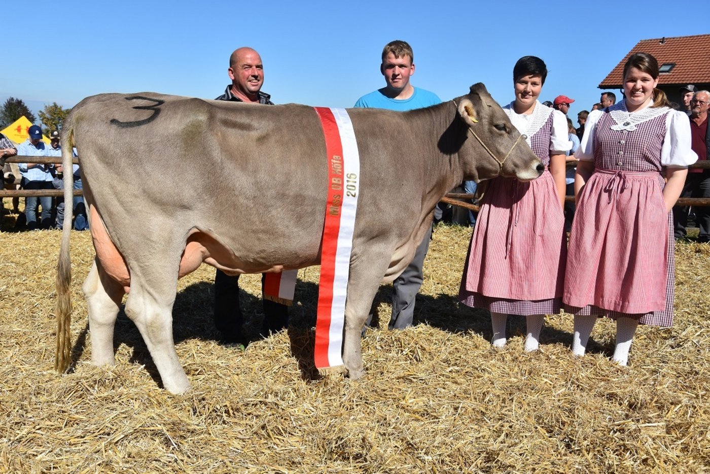 Die neue Miss OB Höfe: Edual Edelweiss aus dem Stall von Franz Sigrist, Wollerau.
