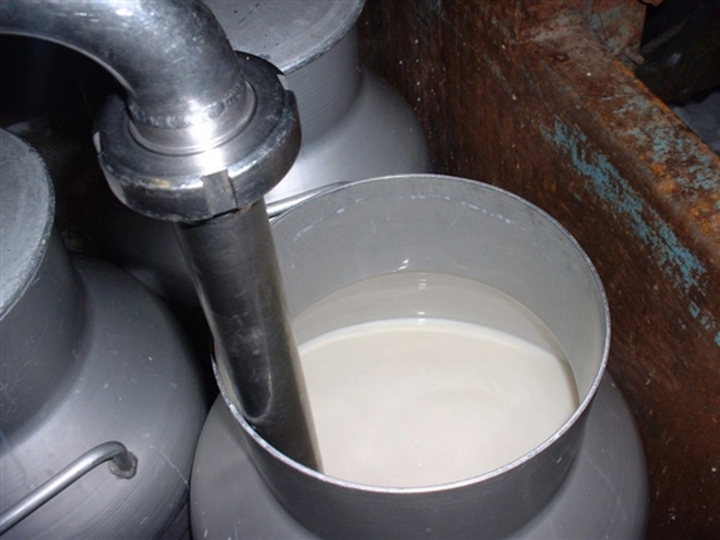 erDer  FTPL umfasst 130 Produzenten und verkauft pro Jahr rund 9,5 Millionen Kilo Milch. (Bild BauZ)