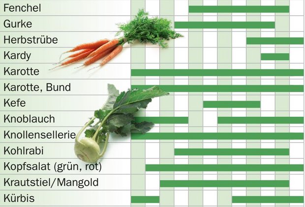 Karotten haben das ganze Jahr Saison, Kohlrabi von April bis November. (Bild Screenshot Verband Schweizer Gemüseproduzenten)