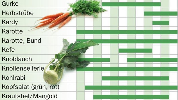 Karotten haben das ganze Jahr Saison, Kohlrabi von April bis November. (Bild Screenshot Verband Schweizer Gemüseproduzenten)
