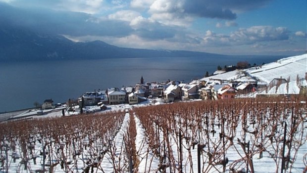 Zwei Standesinitiativen der Kantone Genf und Wallis forderten, dass die Wein-Kontingente angepasst werden. (Bild Marcha)
