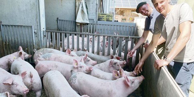 Landwirt Markus Gisler (rechts) und Forscher Thomas Steinsberger bei den Mastschweinen auf dem Betrieb Erlosen. 