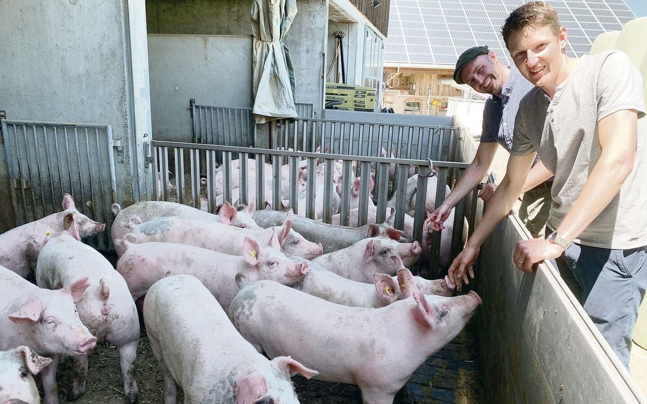 Landwirt Markus Gisler (rechts) und Forscher Thomas Steinsberger bei den Mastschweinen auf dem Betrieb Erlosen. 