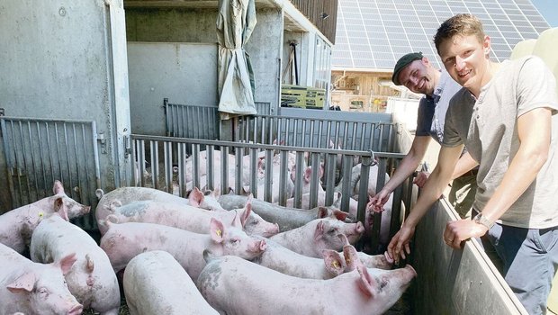 Landwirt Markus Gisler (rechts) und Forscher Thomas Steinsberger bei den Mastschweinen auf dem Betrieb Erlosen. 