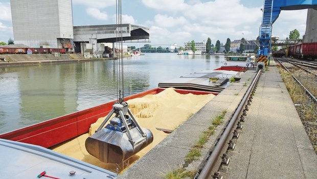 Entladung von Sojaschrot im Hafen Basel: Die Futtermittel-Importe sorgen im Vorfeld der Abstimmung für grosse Diskussionen, auch in unserem Streitgespräch. (Bild LID/Markus Rediger)