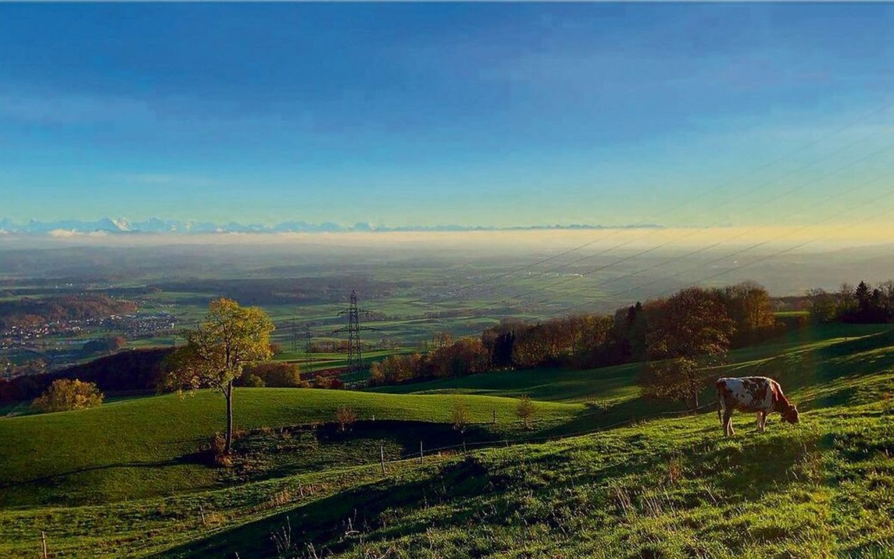 Das Panorama bei Fahrnis in Rumisberg ist gewaltig. Der Betrieb liegt auf 900 m ü. M.