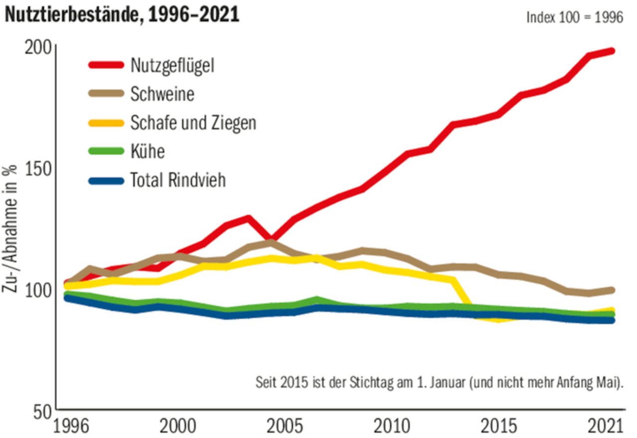 Die Tierzahlen nehmen tendenziell ab, grosse Ausnahme bleibt wegen steigender Nachfrage die Nutzgeflügel-Kategorie.