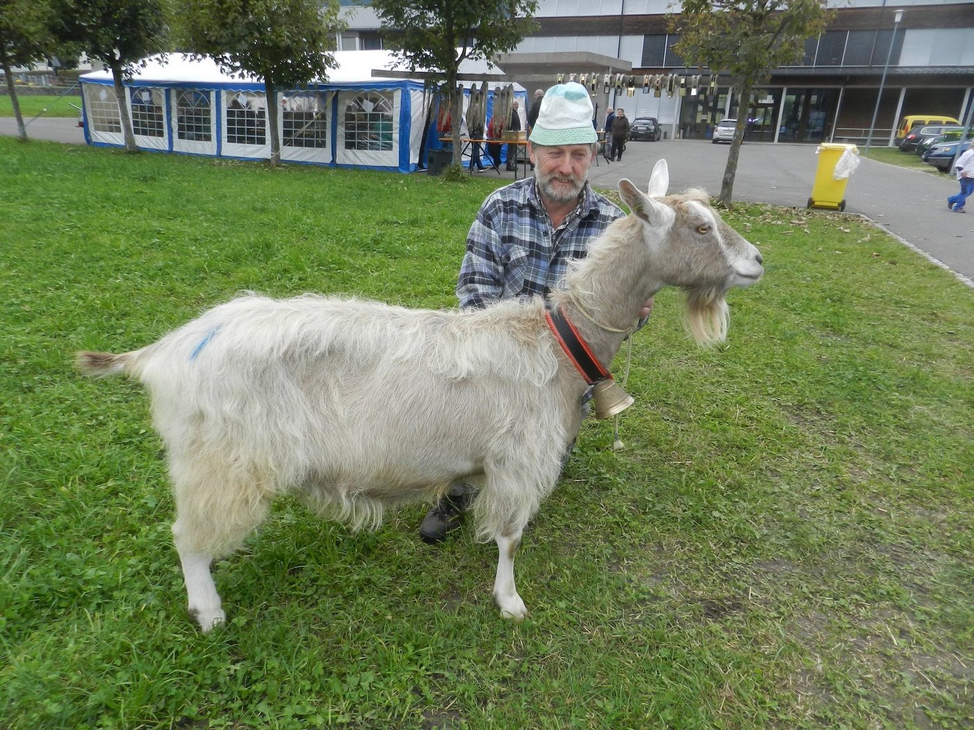 Als Miss Ziege wurde die achtjährige "Lanz" aus dem Stall von Edgar Marty aus Unteriberg ausgezeichnet. (Bilder Konrad Schuler)