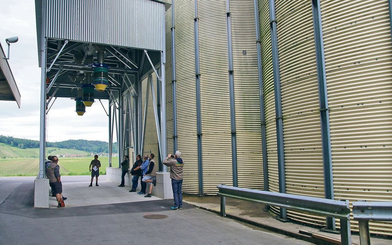 Die Getreideproduzenten besichtigten am Getreidehöck die drei neuen Getreidesilos. Damit nicht genug – mit dem Bau von zwei weiteren Getreidesilos soll dieses Jahr gestartet werden. 