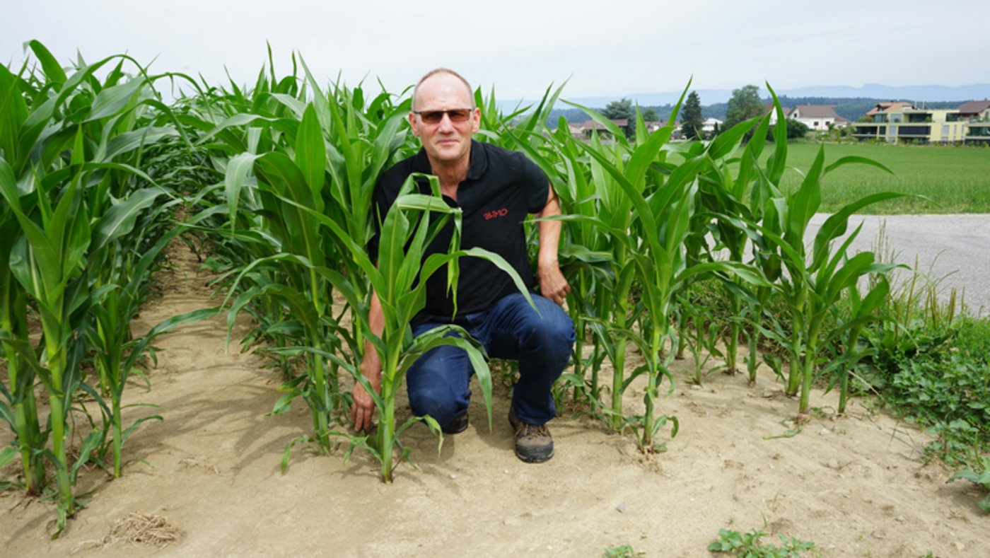 Landwirt Ruedi Bigler zeigte auf einem Hofrundgang die Massnahmen, die er zur Emissionsverhinderung sowie zur Anpassung an den Klimawandel vornimmt. „Den Mais bauen wir schon im zweiten Jahr in Zweier-Reihen an. So kann die einzelne Pflanze besser an Wasser gelangen. Ausserdem verwenden wir eine Sorte, die weniger trockenheitsanfällig ist.“ (Bilder lid/ts)