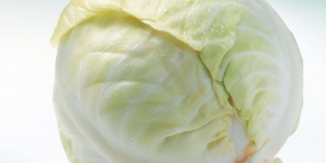 Vitaminbombe: Der Weisskabis liefert mehr Vitamin C als Orangen. (Bild: zVg)