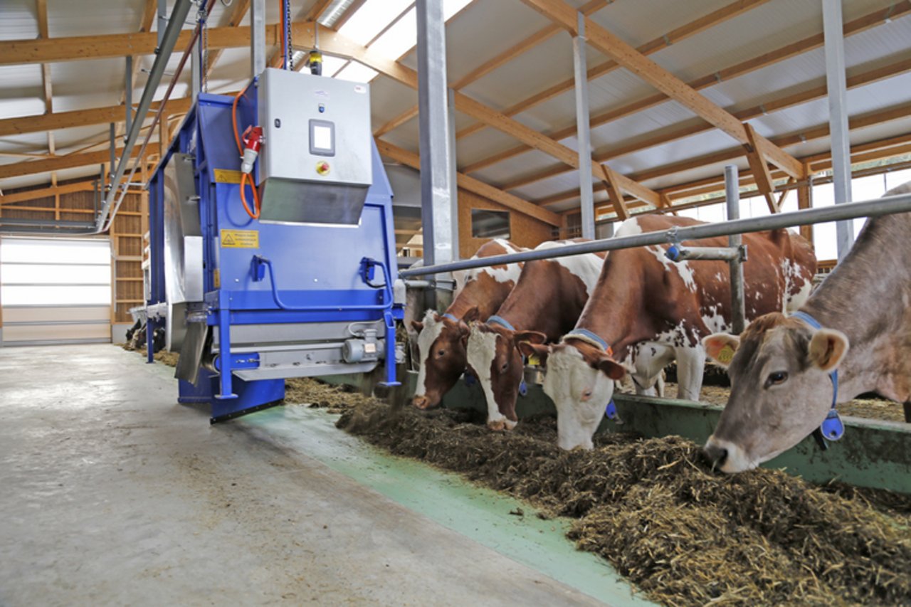 Fütterungs-Roboter im Kuhstall. Der Bauer muss mit dem Roboter nur noch die Futterkomponenten in den Mischer füllen. Den Rest erledigt die Maschine. 