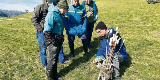 Norbert Ricklin (r.) hat das Mäuserknecht-Set erfunden und zeigt  es Kursteilnehmern sowie Rafael Gago und Daniel Nyfeler.