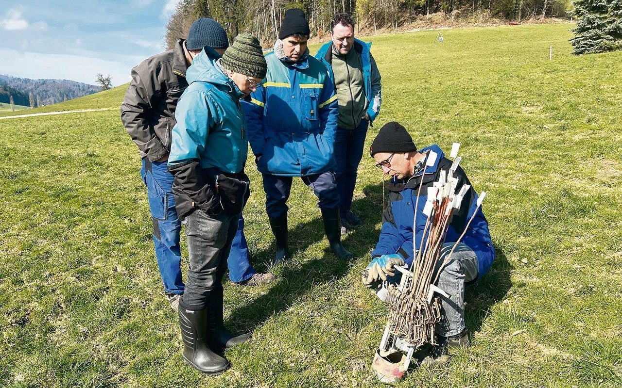 Norbert Ricklin (r.) hat das Mäuserknecht-Set erfunden und zeigt es Kursteilnehmern sowie Rafael Gago und Daniel Nyfeler.