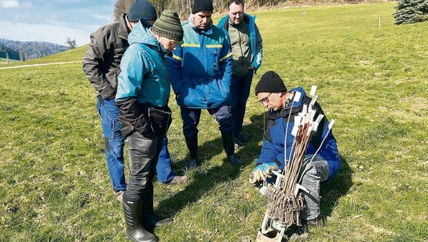 Norbert Ricklin (r.) hat das Mäuserknecht-Set erfunden und zeigt es Kursteilnehmern sowie Rafael Gago und Daniel Nyfeler.