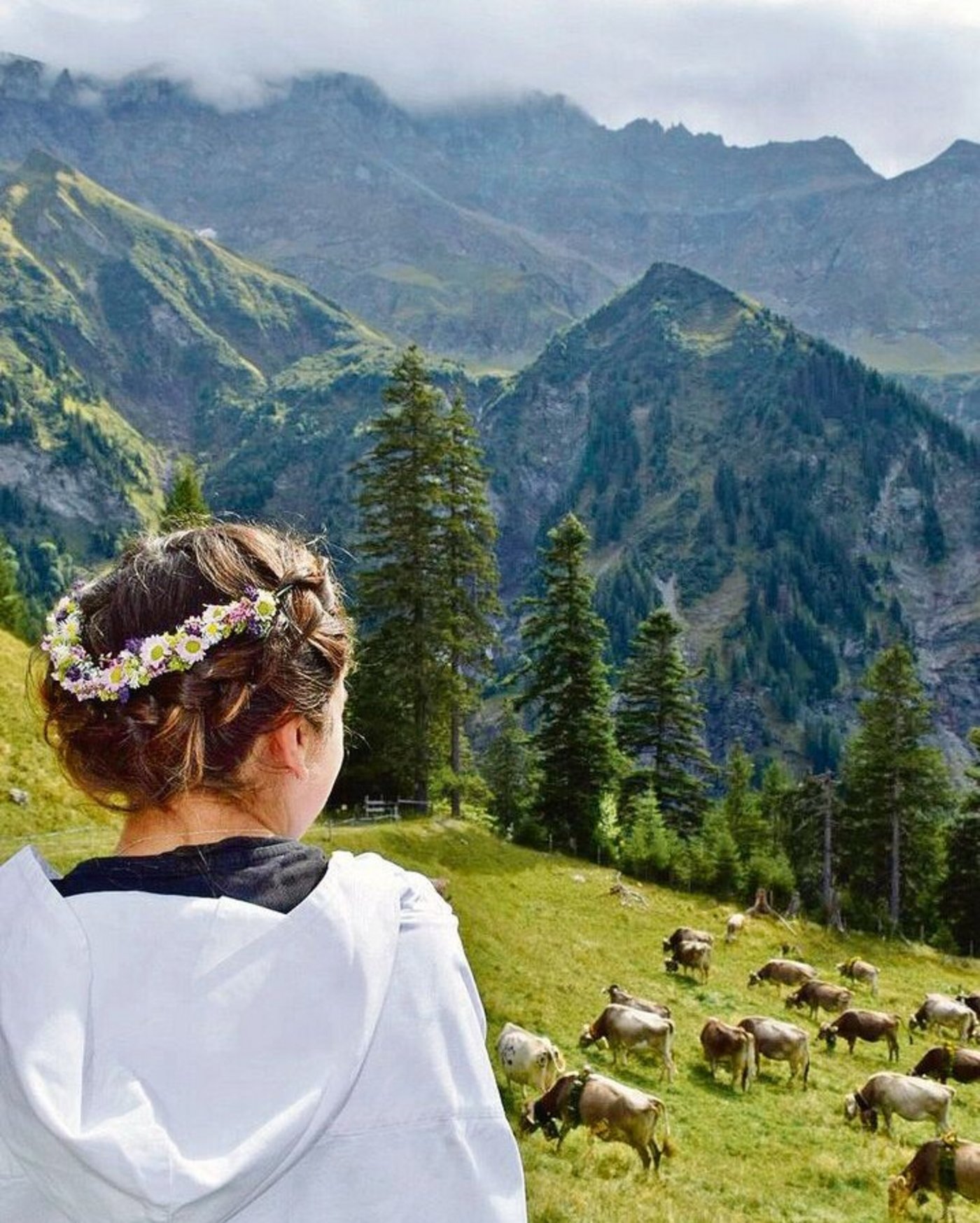 Ein letzter Blick, bevor es von der Alp Ramin zurück ins Tal geht.