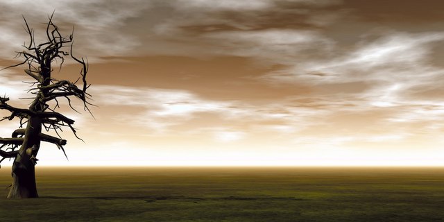 Klimawandel ist in aller Munde. Die Landwirtschaft ist stark betroffen, nicht nur aufgrund Anschuldigungen. Was können Bauern konkret für das Klima tun? Eine Tagung gibt Aufschluss. (Bild Adobe Stock)