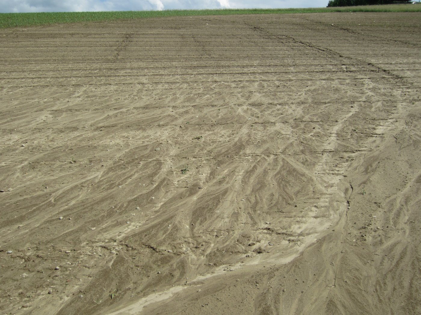 Abgeschwemmte Böden. (Bild V. Prasuhn)