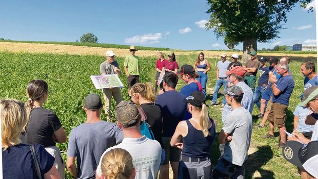 «Wir mussten die Rüb «Wir mussten die Rübe zuerst lernwilligen Einzeltieren präsentieren, damit diese sie essen», erklärte Pierre Aeby die Herausforderung der Angewöhnung den angereisten Landwirtinnen und Landwirten.