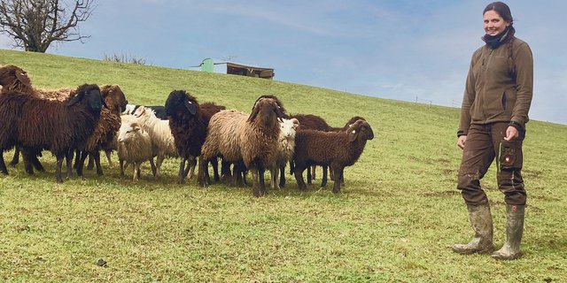 Natalie Müller züchtet gemeinsam mit ihrem Mann Engadinerschafe und Skudden. Hier mit der gemischten Bockherde in Oberweningen.  (Bild Alexandra Stückelberger)