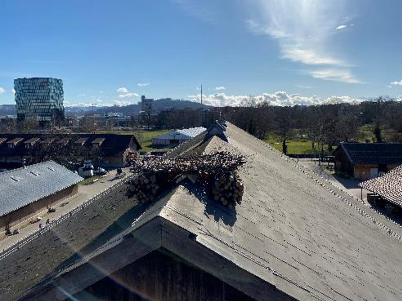 Das Nest hat schon das Interesse verschiedener Störche geweckt. (Bild zVg)