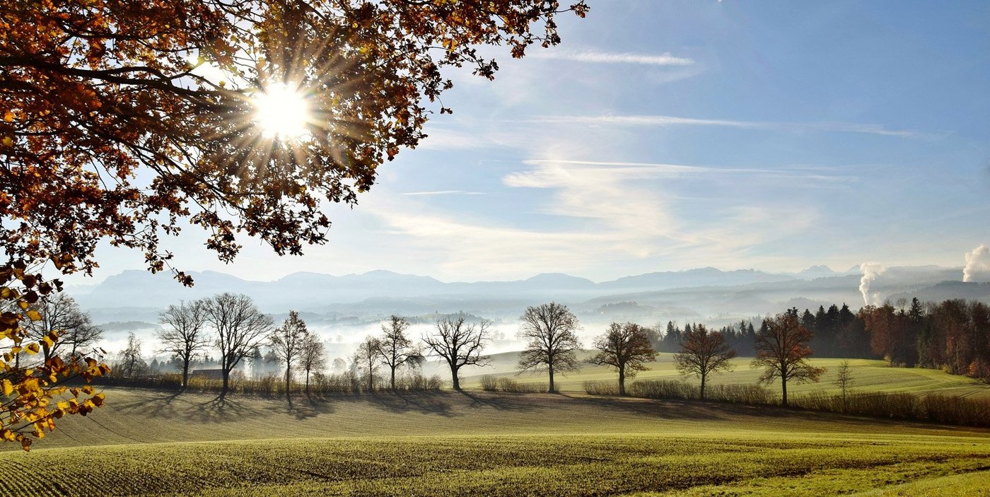 Ökonomischer Sonnenschein trotz Trockenheit: Die Einkommen legten 2018 zu. (Bild Archiv)