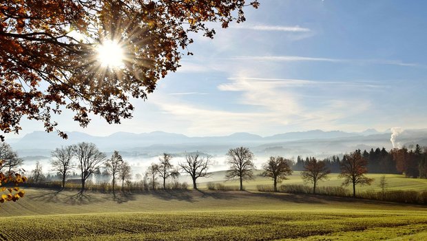 Ökonomischer Sonnenschein trotz Trockenheit: Die Einkommen legten 2018 zu. (Bild Archiv)