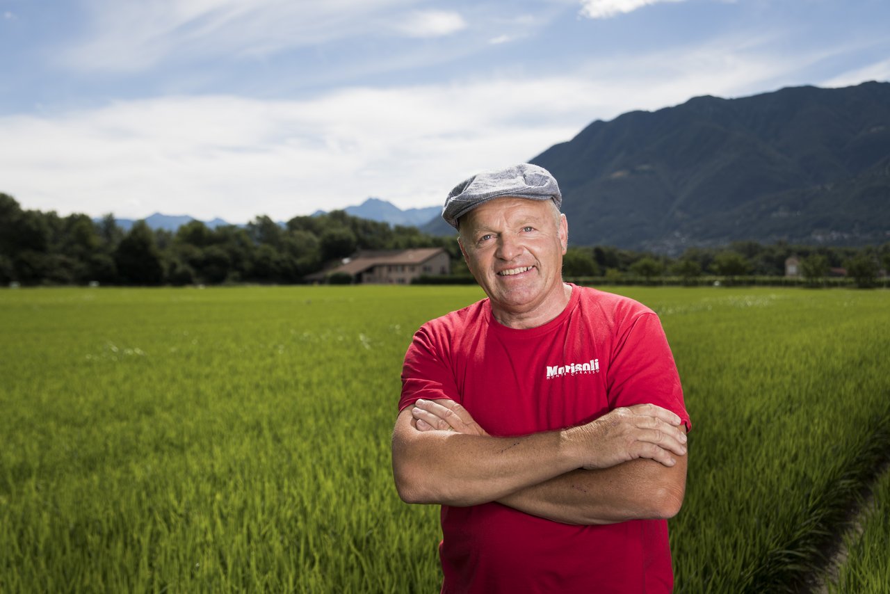 Markus Giger, Landwirt und Projektverantwortlicher für den Reisanbau, steht vor einem Loto-Reisfeld im Maggia-Delta bei Ascona. Im Tessin wird seit einigen Jahren Reis angebaut. (Bild Keystone/Alessandro Crinari)