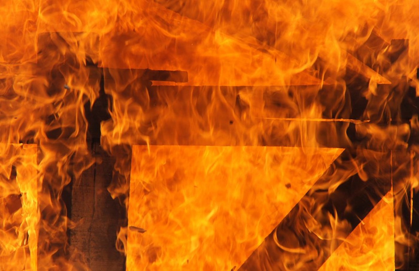 100 Ferkel und 10 Mutterschweine starben in den Flammen. (Symbolbild: lichtkunst.73 / pixelio.de)