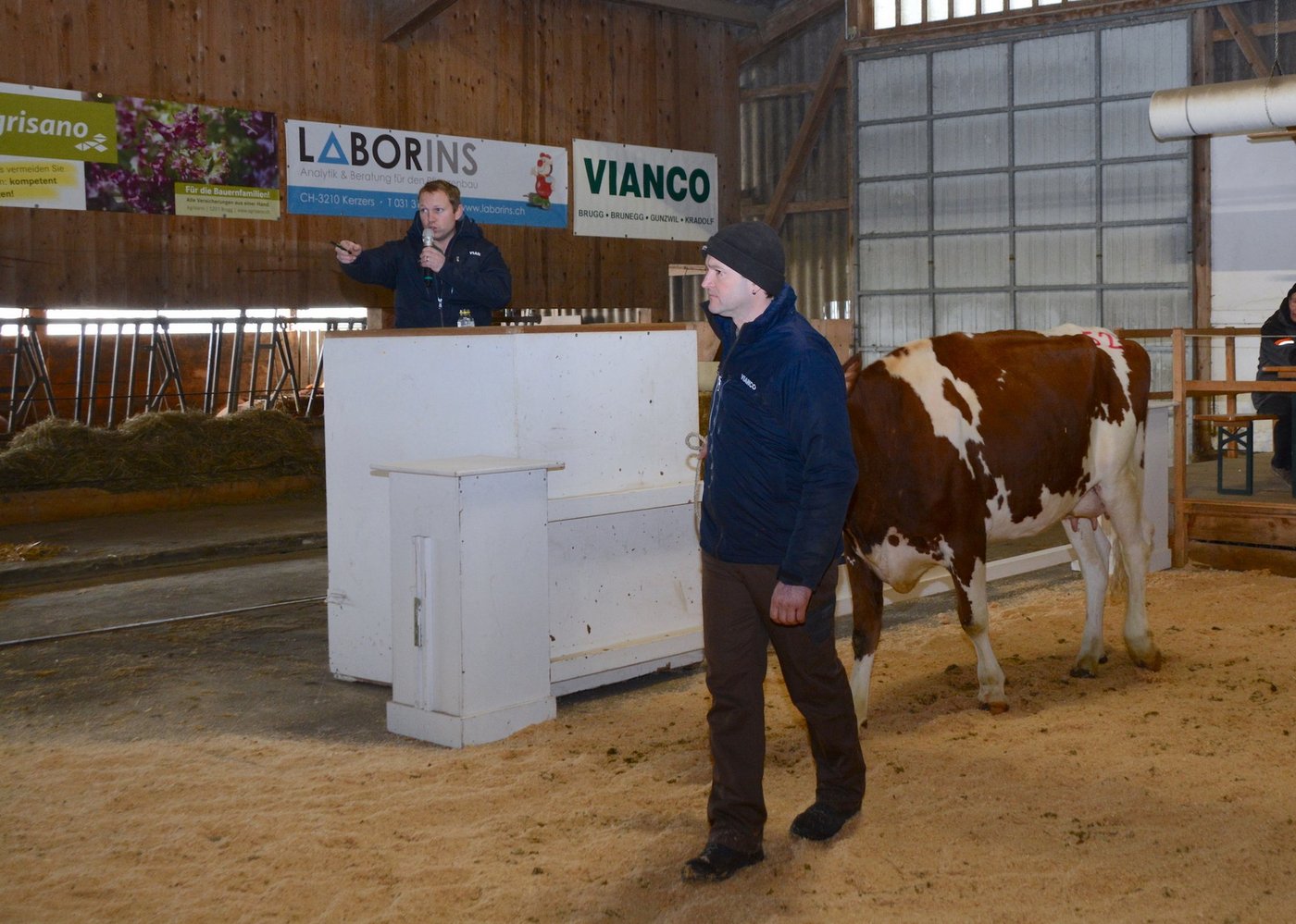 Der Durchschnittpreis der Milchkühe lag bei gut 3100 Franken. (Bild ag)