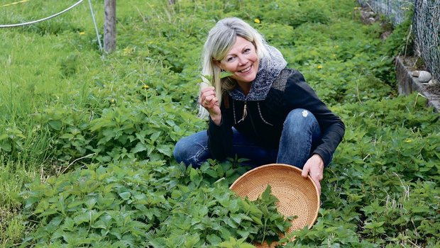 Erika Rebsamen hat einen Pflanzblätz mit Brennnesseln angelegt, sie erntet Samen und Pflanzen für die Küche und verschiedene Produkte. Handschuhe braucht sie nicht beim Pflücken. 