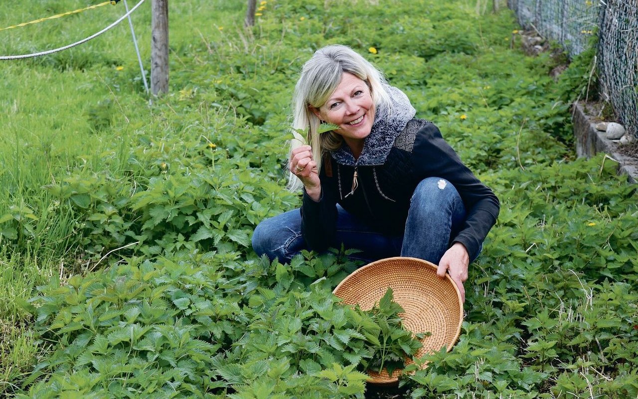 Erika Rebsamen hat einen Pflanzblätz mit Brennnesseln angelegt, sie erntet Samen und Pflanzen für die Küche und verschiedene Produkte. Handschuhe braucht sie nicht beim Pflücken. 