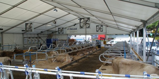 Überblick über den Milchviehstall an der Olma, hinten rechts der Melkroboter. (Bilder Michael Götz)