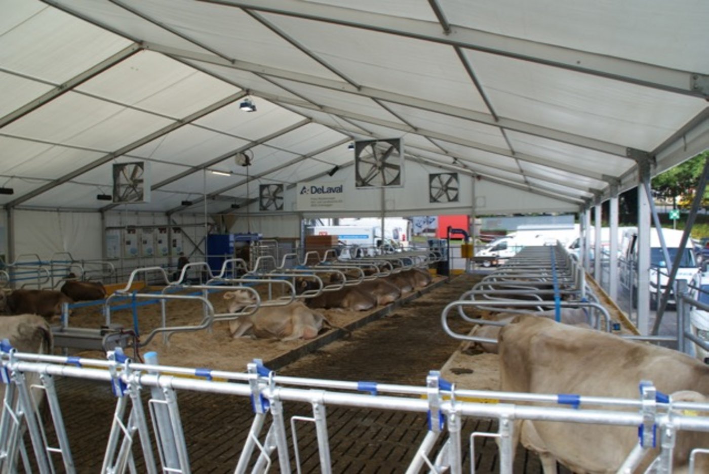 Überblick über den Milchviehstall an der Olma, hinten rechts der Melkroboter. (Bilder Michael Götz)