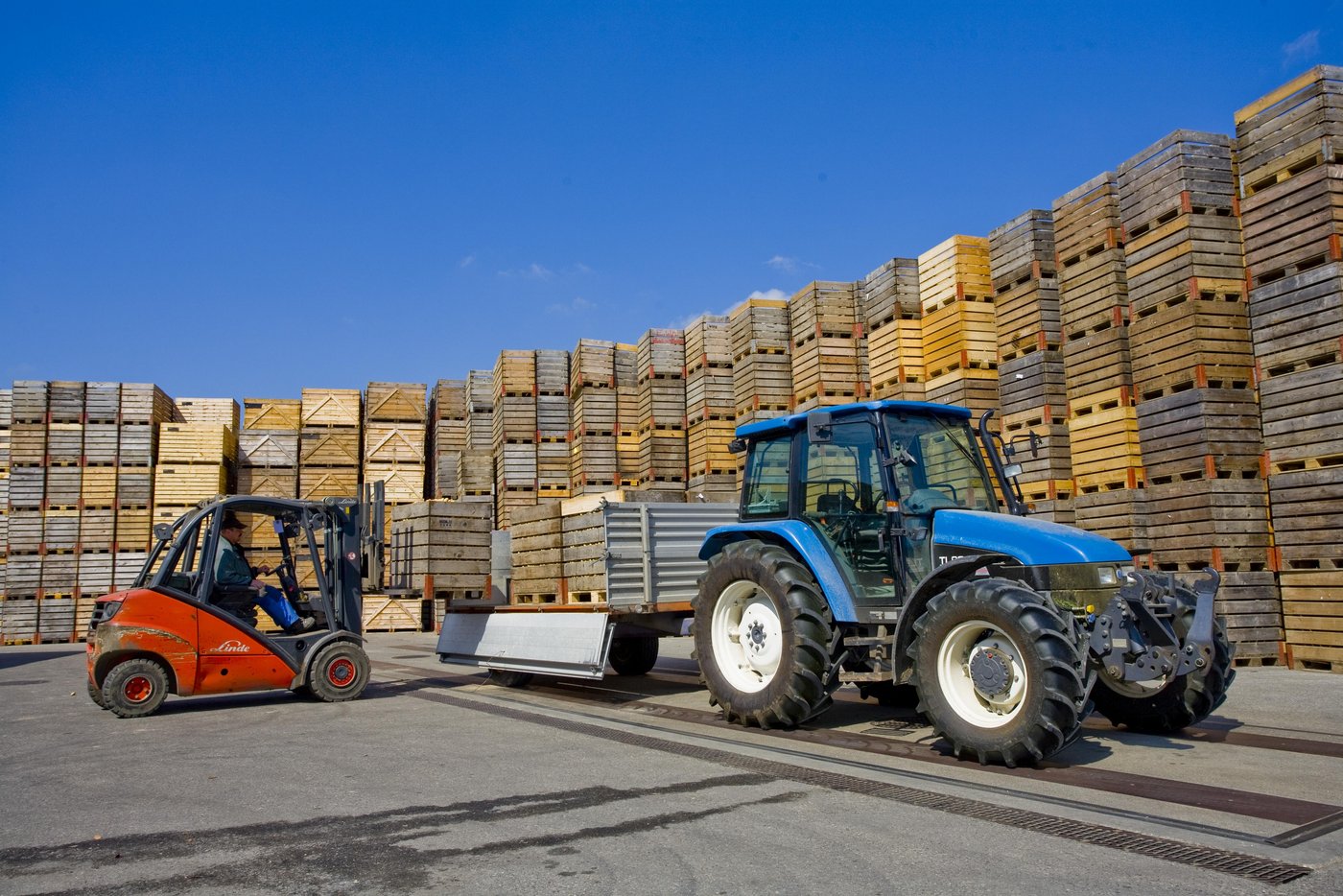 Jährlich lässt die Fenaco rund 21'000 neue Paloxen machen. (Bild zVg)