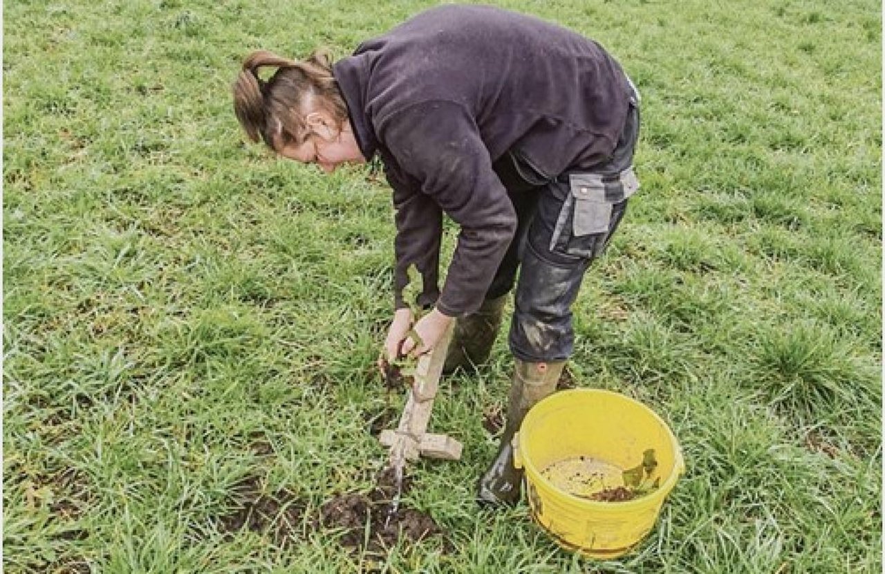 Salome Aeschbacher aus Bätterkinden BE macht ihr 2. Lehrjahr zur Landwirtin EFZ bei Familie Schürch in Kirchberg BE (Bild Aeschbacher)